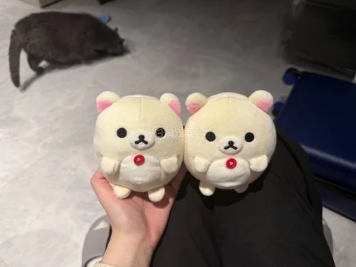 买到了这几个轻松熊和布丁狗团子都超可爱！包装也很好，拿到手完好无损，里面还包了层泡沫袋，还有一箱在路上，期待收货！