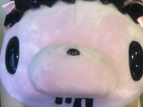 这次在挖煤姬淘的小暴真的超棒！包裹打包得超严实，本体一点都没被压到，黑蕾丝和爪子细节很精致，编号标也完好无损，平台的物流速度也很稳定，感觉还是蛮快的，客服也很贴心！好评喵～以后收其他好物还会继续用挖煤姬的～(๑╹ヮ╹๑)ﾉ