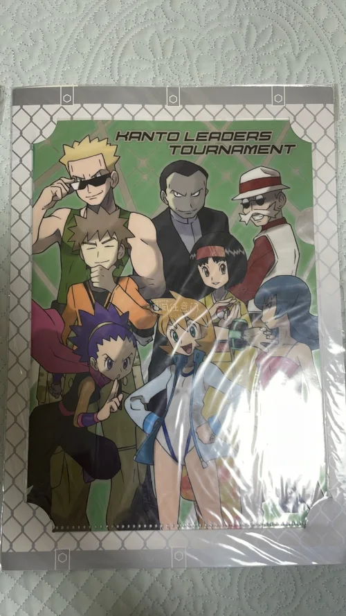 这是日本Pokémon Center（宝可梦中心）2012年推出的限定周边文件夹套装，对应《宝可梦 钻石/珍珠/白金》神奥地区主题，包含两款A4文件夹，感谢挖煤姬代购