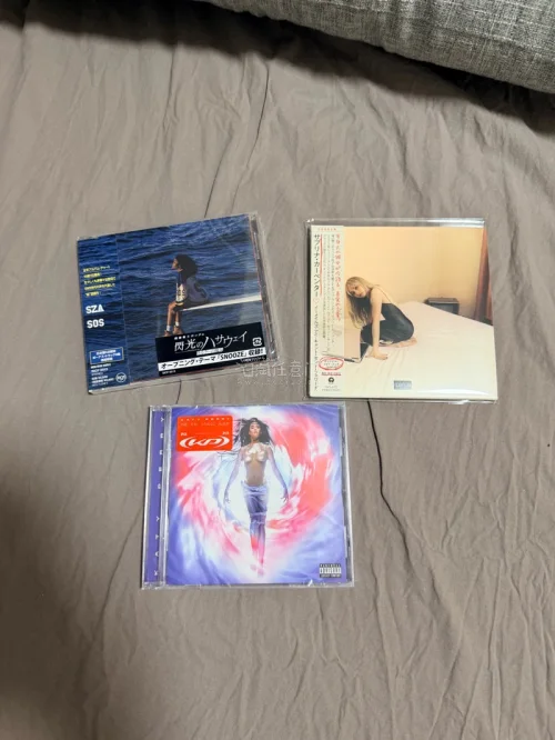 开开心心又买了一批 cd，任意门打包很好，每个单独加固了，箱子里面空隙都有填充气泡膜之类的，cd 都没有盒裂，非常开心！！！全部非常美丽无暇，很信赖任意门的包装了！
