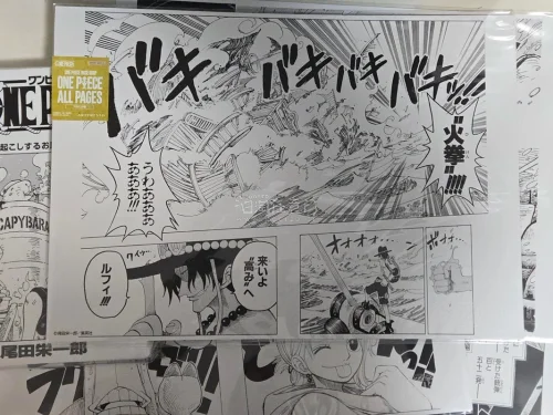 这次买的是海贼王的ap和扉页版画，打包依旧很安心，泡沫纸满满的箱子也又硬又厚的，走的是EMS路线，积分抵扣后很划算，每周都有免手续费的券，又是很满意很安心的一次