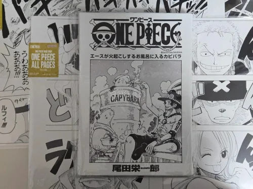 这次买的是海贼王的ap和扉页版画，打包依旧很安心，泡沫纸满满的箱子也又硬又厚的，走的是EMS路线，积分抵扣后很划算，每周都有免手续费的券，又是很满意很安心的一次