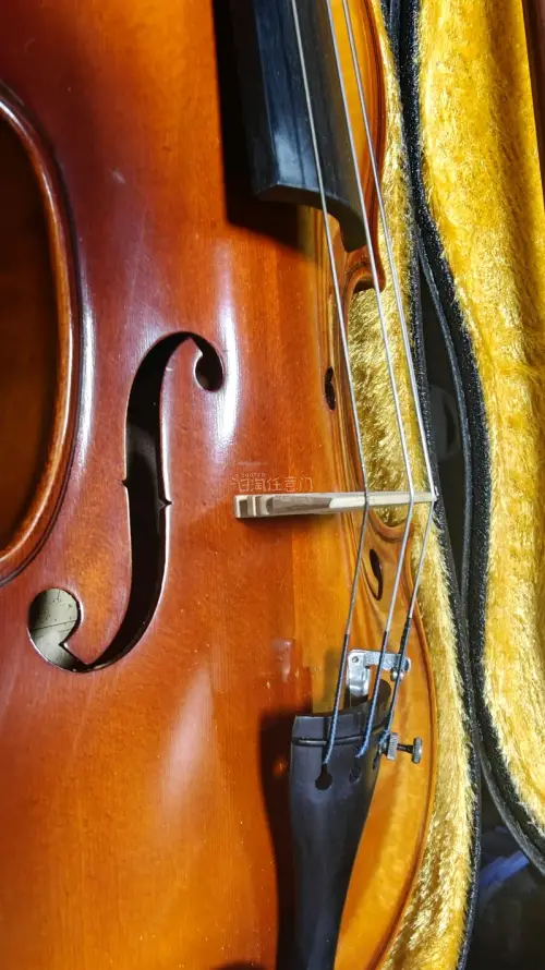 琴声清澈明亮，高音通透无杂音，低音醇厚有质感，共鸣出色。手工拼接工艺精细，指板平整，弦距适中，运弓顺畅，上手体验极佳。选材扎实，漆面光洁，细节处理到位。千元级里难得的高性价比之选，无论是初学还是进阶练习都完全够用，强烈推荐！