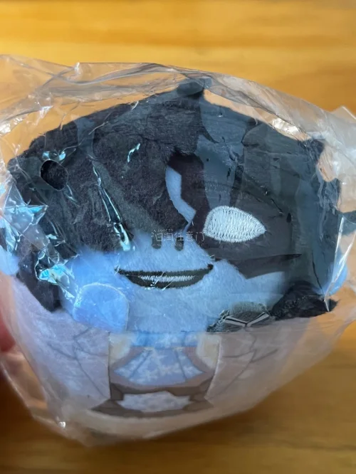 挖煤姬使用体验很不错，界面操作简单，自带翻译适配日淘购物。代拍响应迅速，费用明细清晰无隐形消费，物流线路选择丰富，打包防护扎实，全程购物省心靠谱，日常淘购中古周边十分便捷，竹蜻蜓专线非常省心的快递渠道。