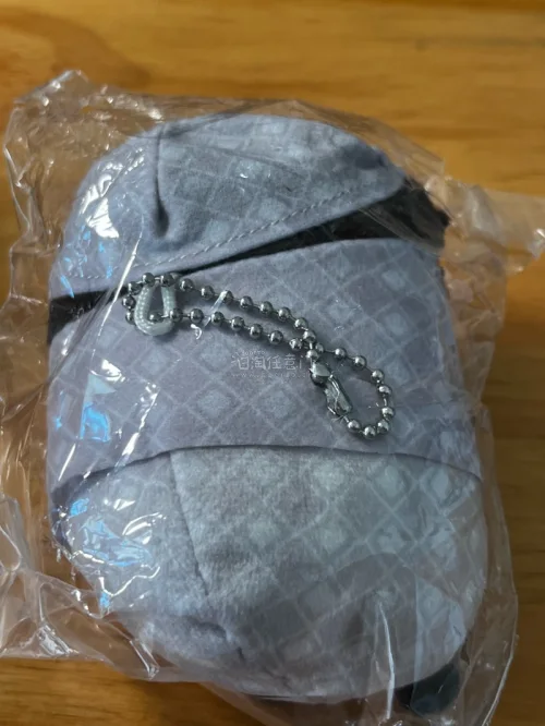挖煤姬使用体验很不错，界面操作简单，自带翻译适配日淘购物。代拍响应迅速，费用明细清晰无隐形消费，物流线路选择丰富，打包防护扎实，全程购物省心靠谱，日常淘购中古周边十分便捷，竹蜻蜓专线非常省心的快递渠道。