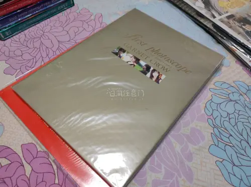 买了一些场刊写真集和会报，海运大概一个月收到，虽然等了很久但收到后一本本翻看真的很开心，希望以后还能淘到一些好物