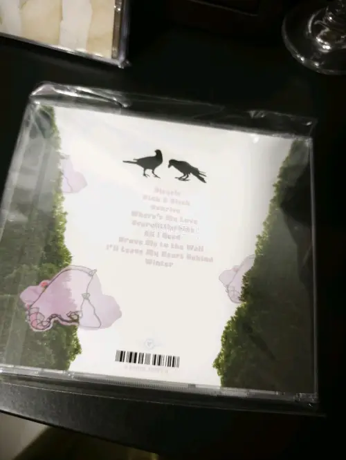 在任意门淘的日版CD终于收到啦！不仅包装加固做得很到位，每张碟片的品相都特别好，内页和歌词本都完整无损，到手完全没有踩雷，而且物流和清关都很顺利，是很安心的一次海淘体验！