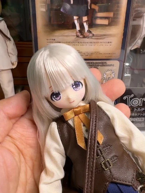 在挖煤姬入手的Azone托尔特套装安全下车！商品状态和描述一致，包装也很用心，物流全程可查，整个购物流程都很安心，真的太满意啦！
