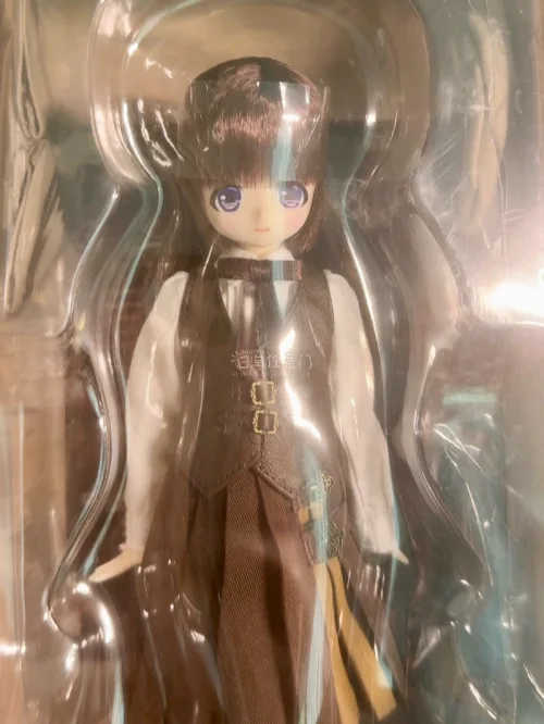 在挖煤姬入手的Azone托尔特套装安全下车！商品状态和描述一致，包装也很用心，物流全程可查，整个购物流程都很安心，真的太满意啦！
