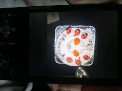超级幸运的一次海淘，全都是我想要的，并且成色超级新，奥林巴斯非常适合拍景色，佳能拍人像更是一绝，非常喜欢！
