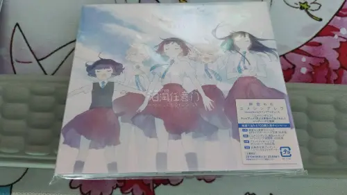 在骏河屋买了四张CD，分别是守护猫娘绯鞠的OP和ED，骚动时节的少女们啊OP和ED。骏河屋价格确实便宜，可惜有两张没有侧边，以后还得更换???