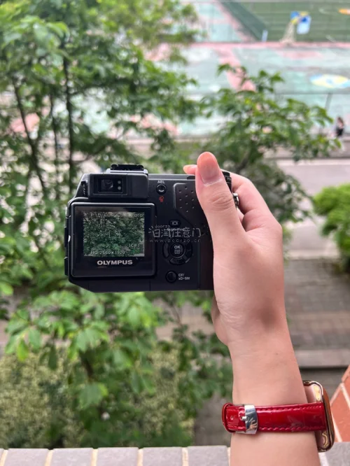 一台奥林巴斯c5050和一台卡西欧z700，奥林巴斯还有原盒，工作人员打包的也很好，拿到之后也没有破损，成色也很新，出片特别好看！