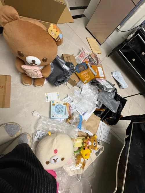 在任意门买的轻松熊到啦！