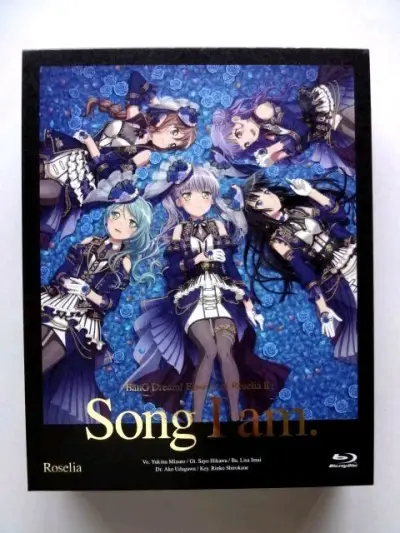 Song i am