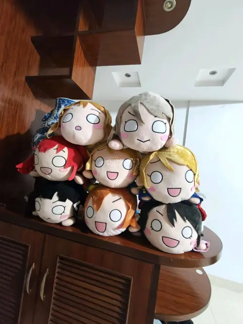6月切煤分享ᔦ ° ꒳ ° ᔨ 