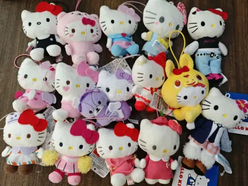 入手了很多Hello Kitty毛绒挂件，全程购物体验超舒心！平台自带完整中文翻译，日语小白也能轻松检索下单，平台免费合单打包特别扎实，多层气泡膜包裹牢牢防护，物流线路时效稳定，全程物流节点可实时查看，资费透明没有隐形扣费。终于集齐多款心仪Kitty挂饰，自留挂包、...
