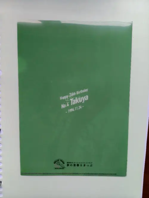 第一次切煤，研究了很久最终选择了使用挖煤姬。搜索、下单、物流各方面都非常方便，还经常送各种优惠券。
这次收了亲签文件夹和二弹娃，价格比国内平台便宜了一半。今年最有记忆点的商品就是这个豆豆眼，世界上最可爱的猫猫大王！
