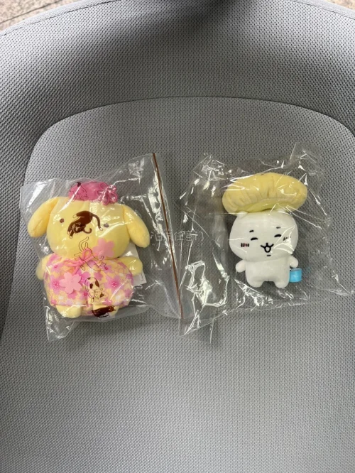 自从因为没及时关心挖煤姬通知，错失了竹蜻蜓plus的截止使用日期开始，就开始心疼钱包，拖到最后存储时间了，用别的方式运费太贵了吧，什么时候才会再有类似竹蜻蜓plus的运输方式啊。