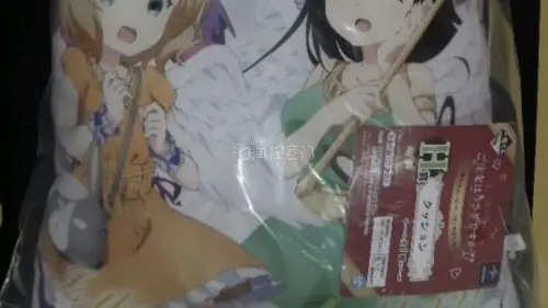挖煤姬6月年中开箱分享。上半年最满意的一单是在煤炉购买的两张明信片，非常赞。挖煤姬是一个很好用的日淘海淘平台，有煤炉雅虎骏河屋等知名周边官网站点，能够轻松购买日本商品，还有很多好价捡漏。包裹使用气泡膜包装的很严实，包裹内每件商品都包装的很好。挖煤姬有90天的仓库囤货...