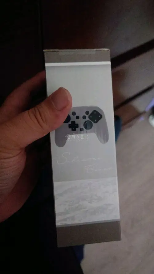 NS2的配件，套子，很实用，亚马逊买的，发货很快，包装一流，没有压坏，很好，哈哈哈一次完美的购物，购物再来。