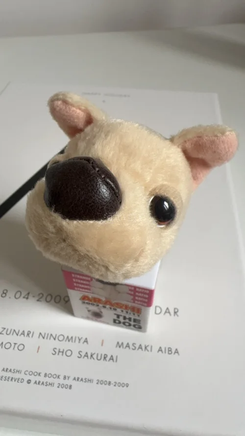 这次还是ems的路线 物流比想象中的快很多！
合箱效率也一如既往的高
拿下了很多梦情
期待下次继续在挖煤姬海淘