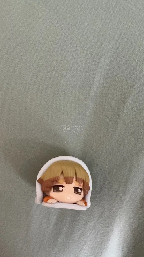 我妻善逸台湾地区限定立牌，国内平台的价格至少在150元以上，但是在挖煤姬73元好价切之，感谢平台！收到后立刻美美展示嘿嘿