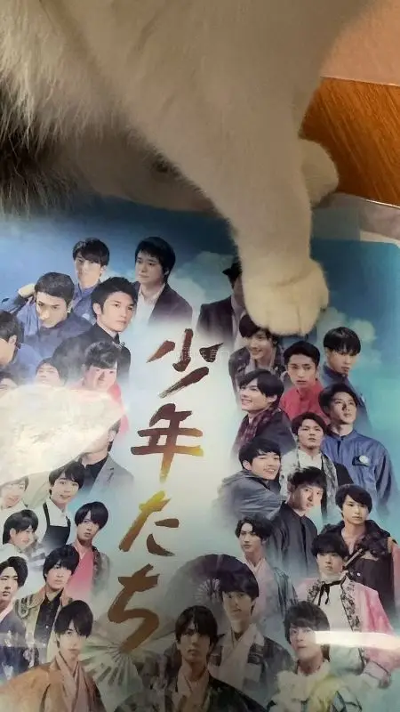 中古烧普淘货选任意门竹蜻蜓，23 天顺利签收稀缺古早纸片。内外双层纸箱 + 多层气泡，每套烧普独立塑封，到手无受潮折损，品相符合预期。比 EMS 省钱、比海运提速，折中采购体验绝佳，无限回购。
