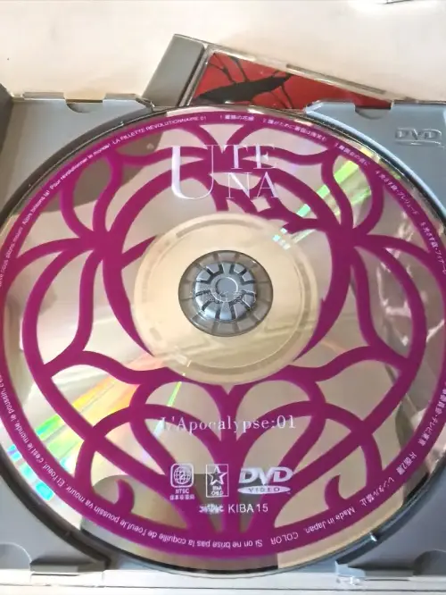 买的DVD收到后，比预想中品相还要好。买的时候卖家图片显示没有侧封，所以完全没有想到原来卖家把侧封好好放在盘内，根据发售年代来看，整体品相都很新，除了塑料外壳有点裂痕，其他都保存完好。