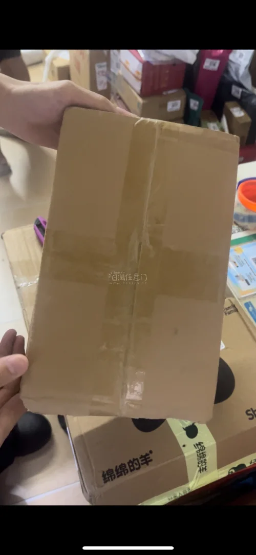 手办成色完好，无断件掉漆。包裹多层气泡加固，纸箱厚实，长途运输完好无损，清关高效，日淘体验满分。好评