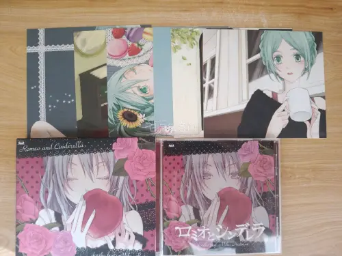这次在挖煤姬买的是初音未来相关cd，采用的是竹蜻蜓物流，为了防止cd在运输过程中损坏，还选择了内部强化加固，到手后包装完好。令我惊讶的是，我在骏河屋买的《magnet》标的是中古，到手却是全新，或许这就是日淘的乐趣之一。想要日淘的朋友，推荐使用挖煤姬！