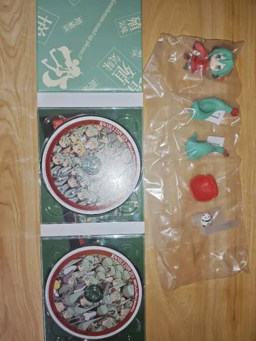 这次在挖煤姬买的是初音未来相关cd，采用的是竹蜻蜓物流，为了防止cd在运输过程中损坏，还选择了内部强化加固，到手后包装完好。令我惊讶的是，我在骏河屋买的《magnet》标的是中古，到手却是全新，或许这就是日淘的乐趣之一。想要日淘的朋友，推荐使用挖煤姬！