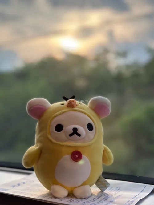 海淘萌物分享
