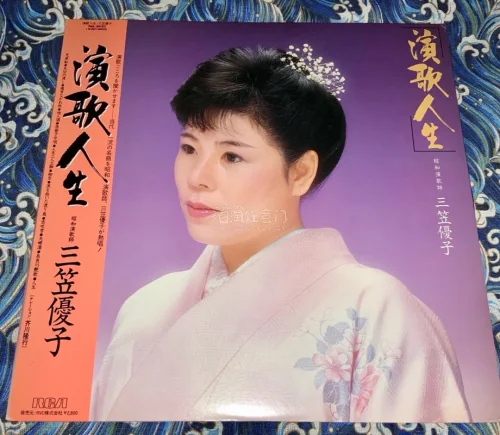 黑胶好物分享