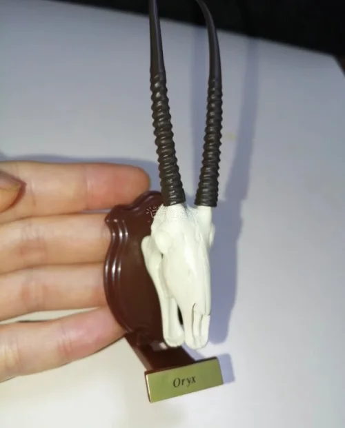 挖煤姬年中开箱｜今年收到最有记忆点的一单✨

上半年的海淘开箱里，这一单集齐多元风格藏品的包裹，给我留下了格外深刻的印象。
其中有还原自然生态、细节逼真的旭川动物园青蛙扭蛋，充满野性复古质感的剑羚头骨壁挂模型，还有寓意吉祥、做工精致的日式惠比寿福神摆件，从自然科普、...