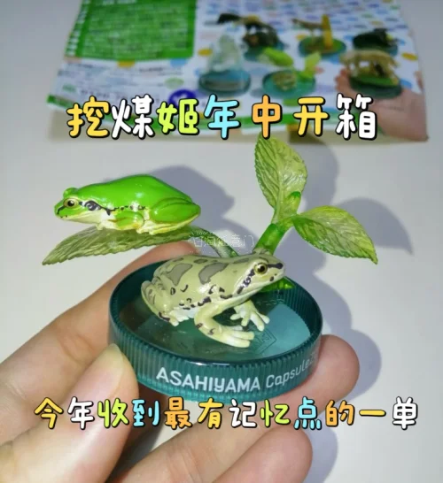 挖煤姬年中开箱｜今年收到最有记忆点的一单✨

上半年的海淘开箱里，这一单集齐多元风格藏品的包裹，给我留下了格外深刻的印象。
其中有还原自然生态、细节逼真的旭川动物园青蛙扭蛋，充满野性复古质感的剑羚头骨壁挂模型，还有寓意吉祥、做工精致的日式惠比寿福神摆件，从自然科普、...
