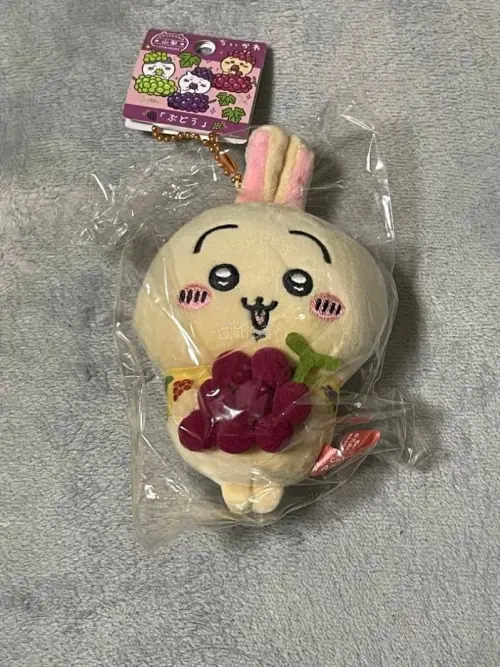 挖煤姬日淘体验超棒，自带翻译新手友好。代拍响应迅速。合箱打包厚实，气泡纸充足，物品完好无磕碰。物流轨迹实时更新，收费透明，后续会持续回购。后续可以加大一点优惠力度，体验感会更好。