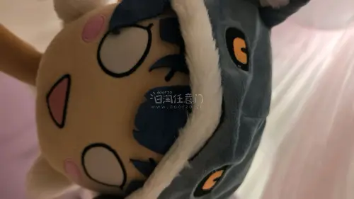 在挖煤姬购买的毛绒回国非常快，整体包装非常完美，价格也非常实惠，物品状态都很好，下次还会继续使用挖煤姬