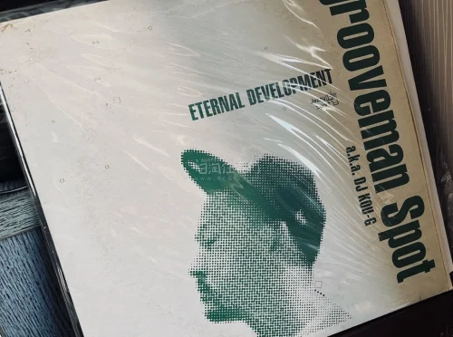 一个月的等待其实蛮煎熬得。因为天热，很怕碟片卡在路上因为高温物理变形，好在收到的时候一切都比较完好，价格品相都不错