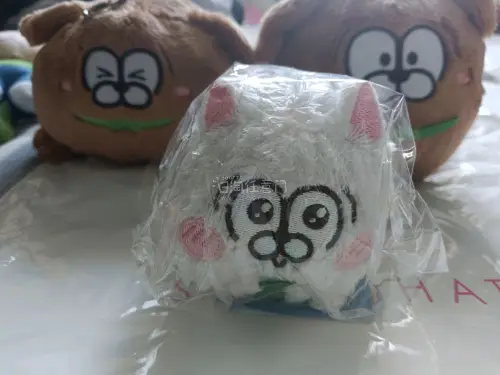 暑期正好迎来了今年的第三单，今年不知不觉切了好多。这次买的也基本都是玩偶，目前无再贩的一整套限定玩偶都被我在暑假前集齐了，还有两个跟朋友拼着买的立牌，完全没有错过我的行程规划。挖煤姬能买很多中古店铺的商品，基本上比线下买还要便宜，还会不定时发放优惠券，综合算下来金额...