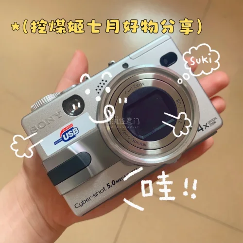 任意门索尼v1