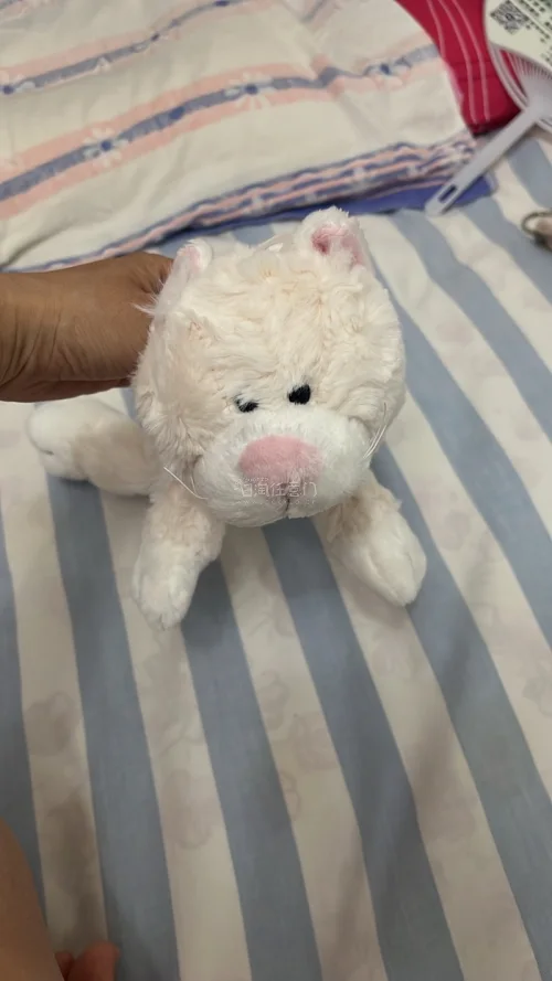 蹲到了心心念念的全新帶吊牌的白猫笔袋，而且也算是好价了！此次意外的收穫是，还刷到了可稀有的nici和smart聯名的手机鏈兒鑰匙扣，好開心！