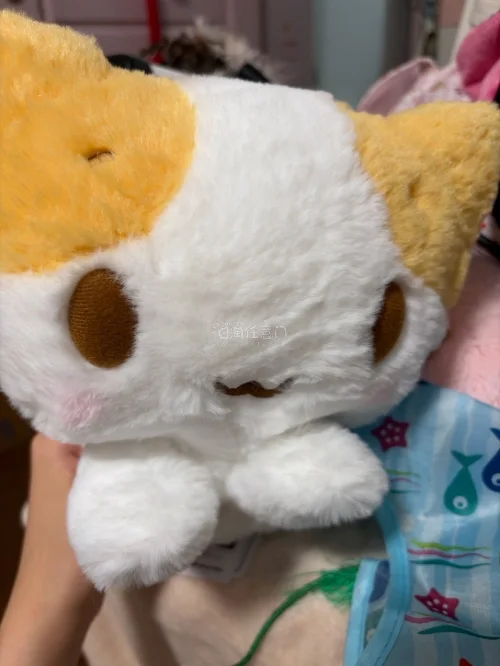 棉花糖猫，便宜包税，性价比拉满；大件毛绒选吸血猫，时效快不限品类，两条线路按需搭配，挖煤姬打包一直很稳，多次安全下车。