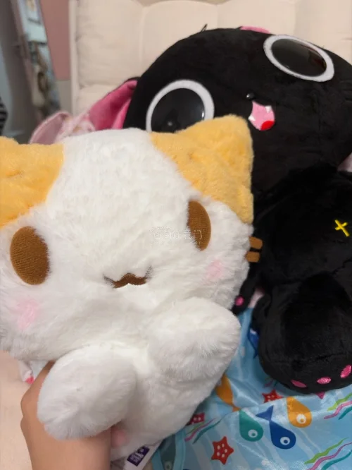 棉花糖猫，便宜包税，性价比拉满；大件毛绒选吸血猫，时效快不限品类，两条线路按需搭配，挖煤姬打包一直很稳，多次安全下车。