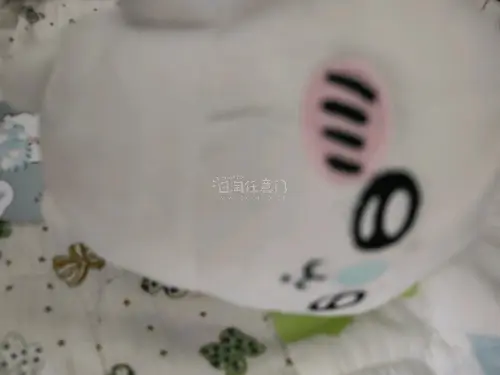 心心念念的莫莫伽玩偶顺利收货，实物比煤炉照片还要可爱，毛毛柔软厚实，五官工整，整体状态和描述完全一致。最让人安心的是仓库打包，专门做了防压处理，长途运输下来玩偶一点都没有变形。代拍反应快，合箱效率高，物流全程可以查看，清关没有耽搁。平台操作简单，没有任何隐形费用。能...
