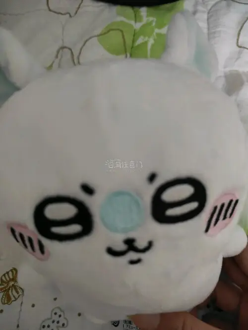 心心念念的莫莫伽玩偶顺利收货，实物比煤炉照片还要可爱，毛毛柔软厚实，五官工整，整体状态和描述完全一致。最让人安心的是仓库打包，专门做了防压处理，长途运输下来玩偶一点都没有变形。代拍反应快，合箱效率高，物流全程可以查看，清关没有耽搁。平台操作简单，没有任何隐形费用。能...