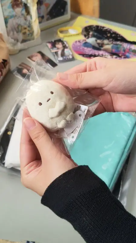 在挖煤姬切的第一单！体验感很好，这单走的是竹蜻蜓，价格便宜到的也很快，包裹很严实，还包了泡沫纸，东西完全没有损伤，买到了正版角落生物玩偶和椰奶周边超级开心！很适合新人⌯ᵔ⩊ᵔ⌯  又切了很多周边 已经在申请发货啦！