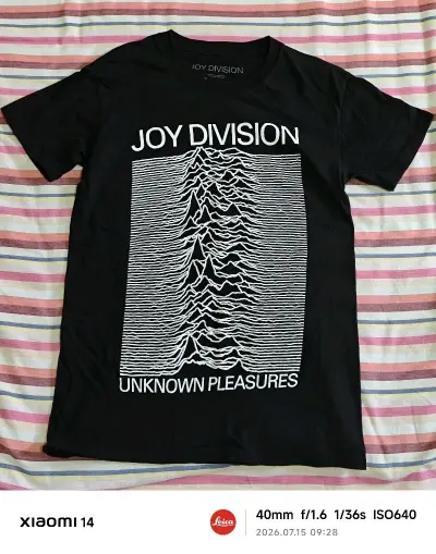 挖到宝！海淘乐队vintageJoy Division短袖
