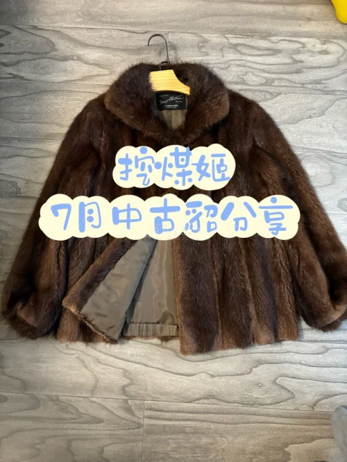 任意门7月中古貂分享