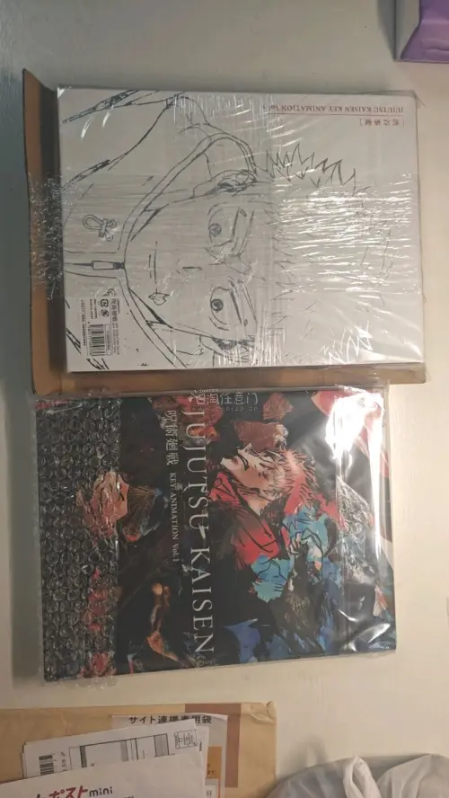 很顺利的通关，包装也比较安全，物流很快，很貌美的特典盒子和线稿。这次海运时效很快，一个月收到，很好很好，还用了积分抵扣运费，很喜欢挖煤姬