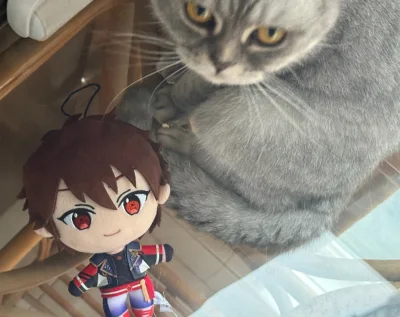 挖煤姬购物体验
